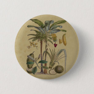 Badge Rond 5 Cm Palm Antique Fruit Tropical Art Botanique