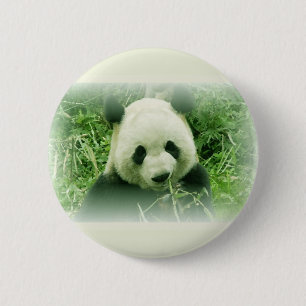 Badge Rond 5 Cm Panda