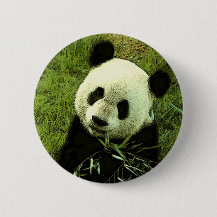 Badge Rond 5 Cm Panda