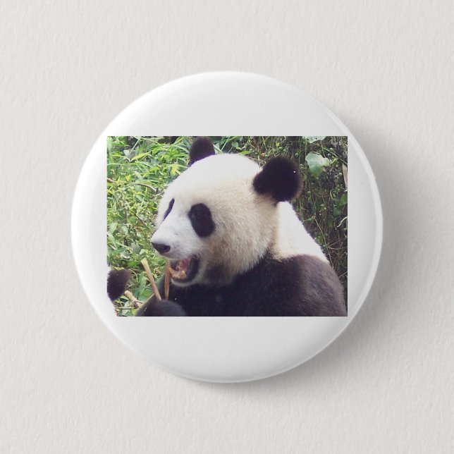 Badge Rond 5 Cm Panda (Devant)
