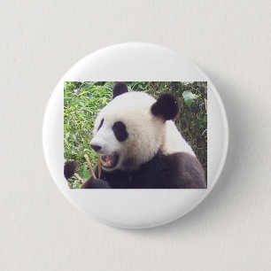 Badge Rond 5 Cm Panda