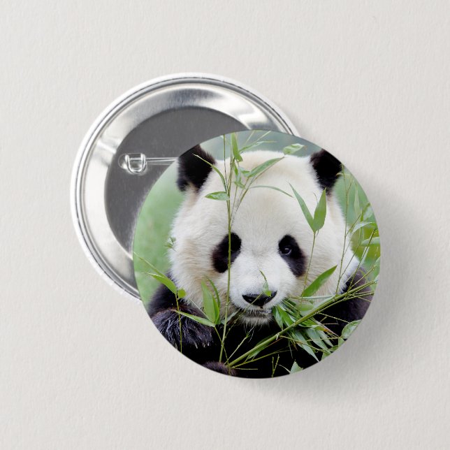 Badge Rond 5 Cm Panda géant aux boutons. Panda. (Devant & derrière)
