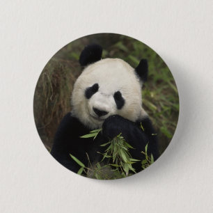 Badge Rond 5 Cm Panda géant mignon
