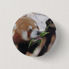 Badge Rond 5 Cm panda rouge poster de animal mignon