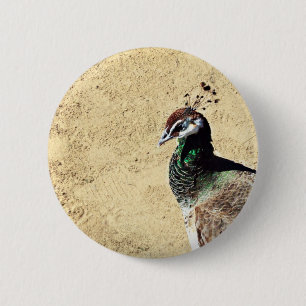 Badge Rond 5 Cm Paon