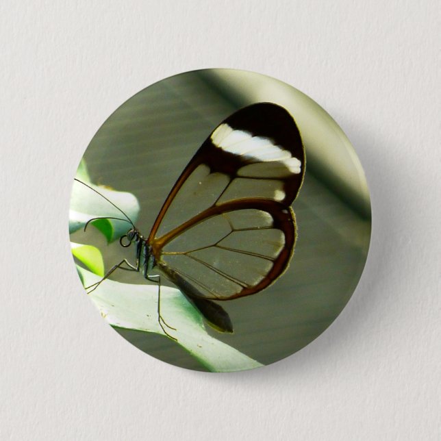 Badge Rond 5 Cm Papillon Brown et translucide (Devant)