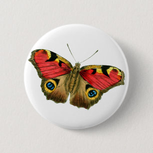 Badge Rond 5 Cm Papillon coloré