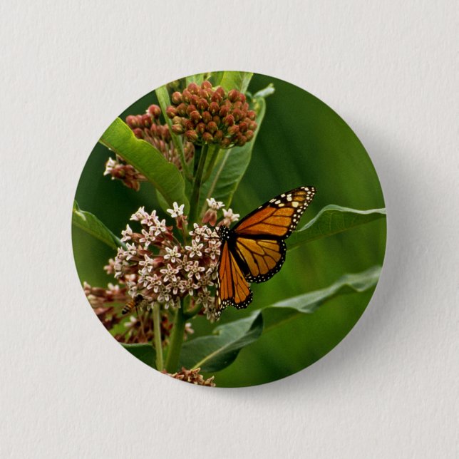 Badge Rond 5 Cm Papillon de monarque (Devant)
