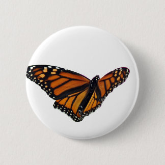 Badge Rond 5 Cm Papillon de monarque