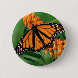 Badge Rond 5 Cm papillon de monarque de papillons