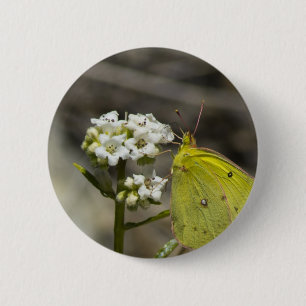 Badge Rond 5 Cm Papillon jaune