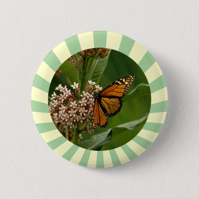 Badge Rond 5 Cm Papillon monarque (Devant)