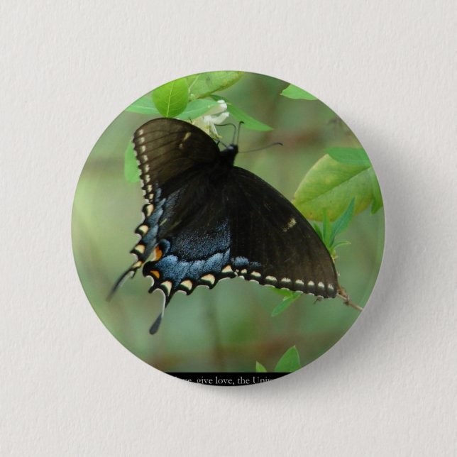 Badge Rond 5 Cm Papillon noir Swallowtail - Dons d'Amour & Vêtemen (Devant)