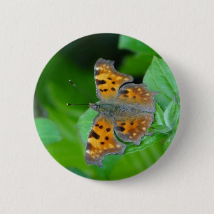 Badge Rond 5 Cm Papillon orange
