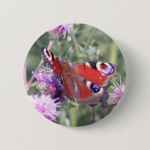 Badge Rond 5 Cm Papillon Paon sous le soleil d'été