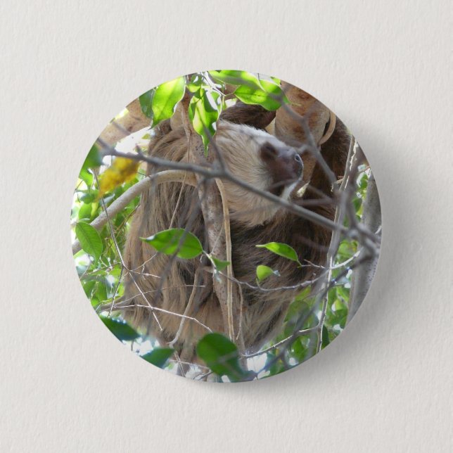 Badge Rond 5 Cm paresse (Devant)