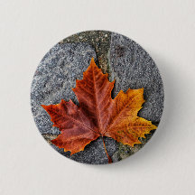 "Passer à l'automne"