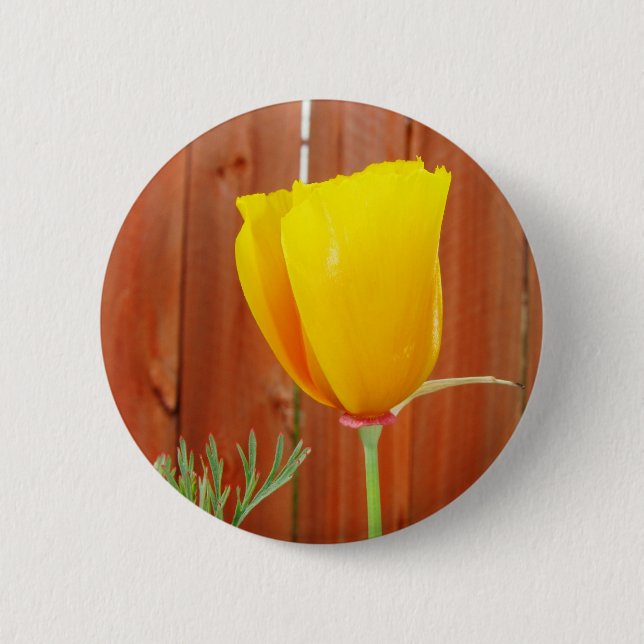 Badge Rond 5 Cm Pavot d'or (Devant)