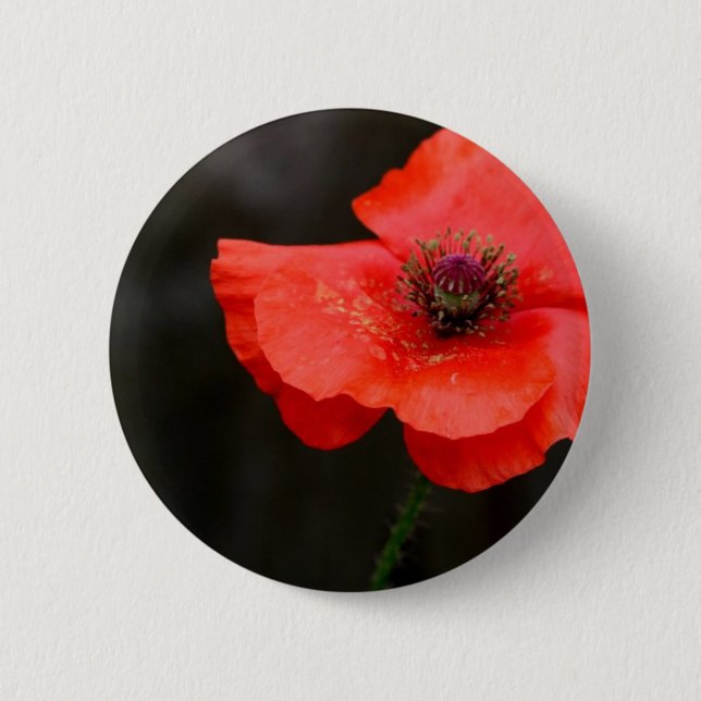 Badge Rond 5 Cm Pavot rouge brillant (Devant)
