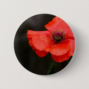 Badge Rond 5 Cm Pavot rouge brillant