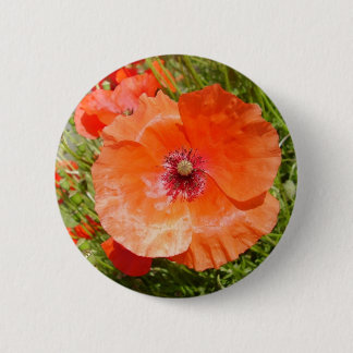 Badge Rond 5 Cm Pavots - Coquelicots