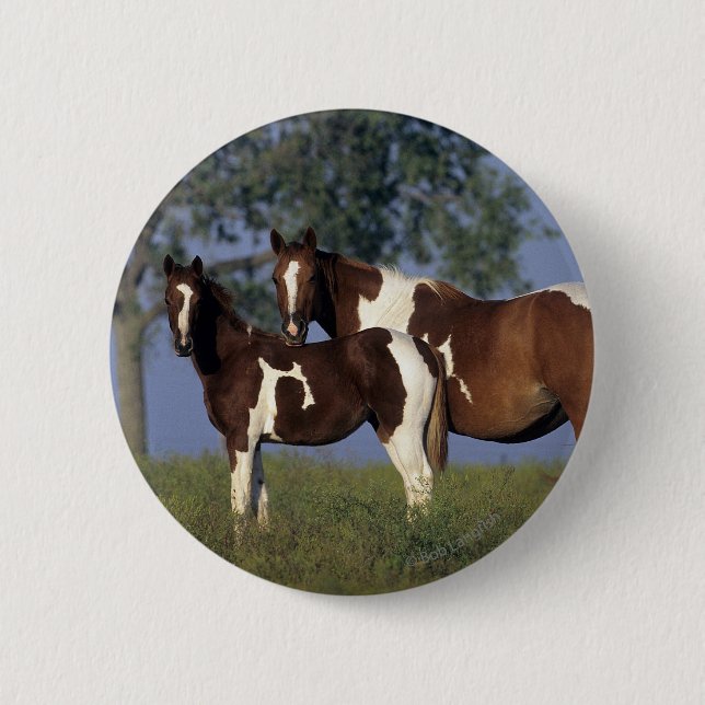 Badge Rond 5 Cm Peignez HMare et poulinez (Devant)