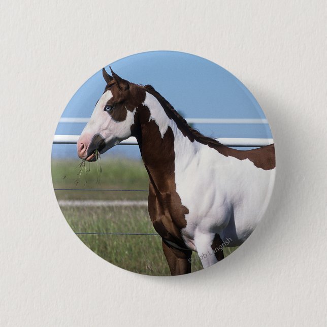 Badge Rond 5 Cm Peignez la position de cheval (Devant)