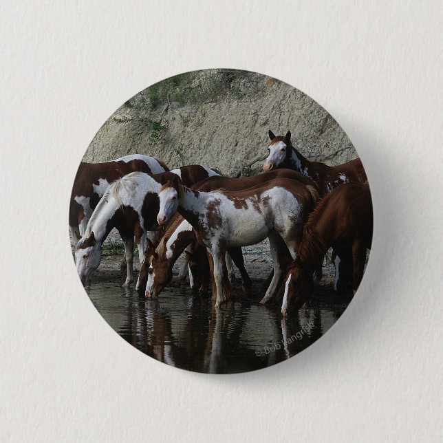 Badge Rond 5 Cm Peignez le boire de chevaux (Devant)