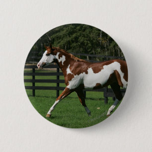 Badge Rond 5 Cm Peignez le cheval courant 1