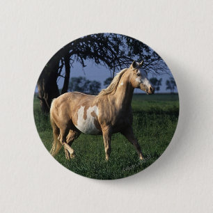 Badge Rond 5 Cm Peignez le cheval tenant 2