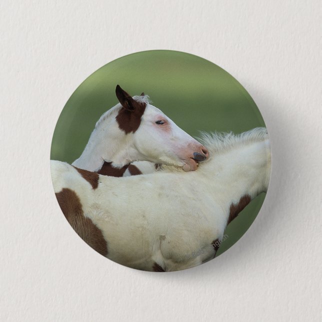 Badge Rond 5 Cm Peignez le jeu de poulains (Devant)