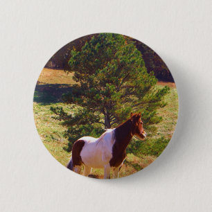 Badge Rond 5 Cm Peint Poney par le pin