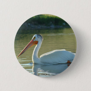 Badge Rond 5 Cm Pélican blanc B4