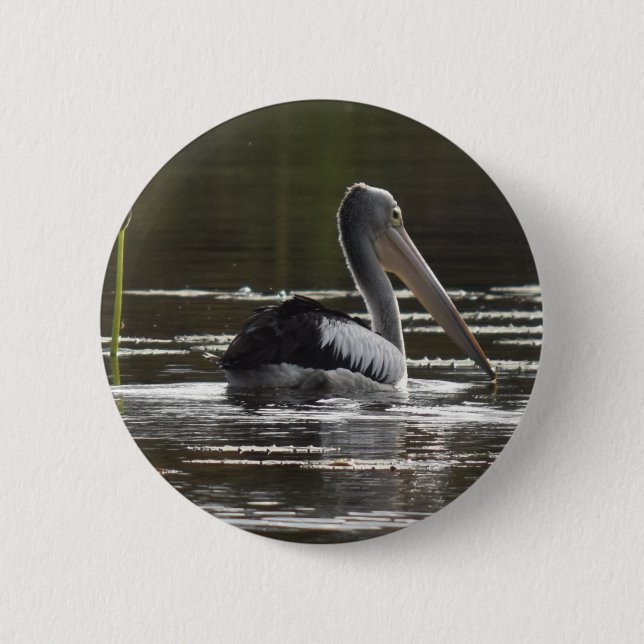 BADGE ROND 5 CM PÉLICAN QUEENSLAND RURAL AUSTRALIE (Devant)