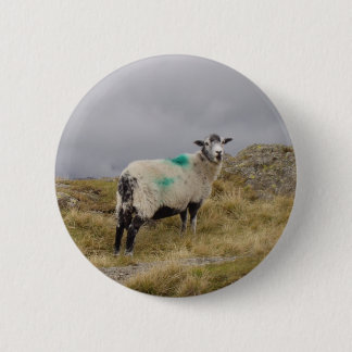 Badge Rond 5 Cm Pendk brebis