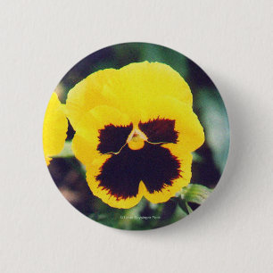 Badge Rond 5 Cm Pensée jaune