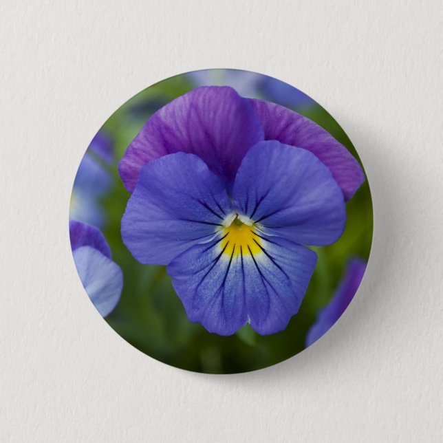 Badge Rond 5 Cm Pensée pourpre (Devant)