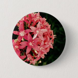 Badge Rond 5 Cm Pentas