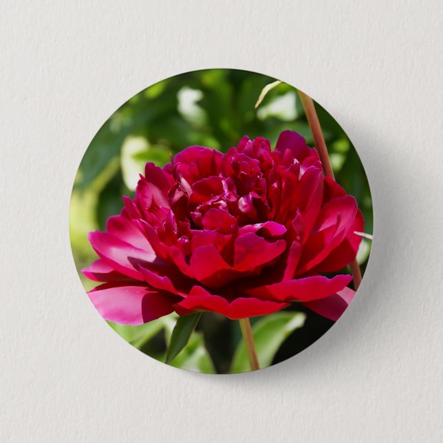 Badge Rond 5 Cm Peonées de velours de Maron foncé (Devant)