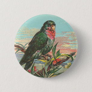 Badge Rond 5 Cm Perroquet