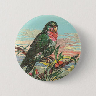 Badge Rond 5 Cm Perroquet