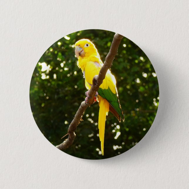 Badge Rond 5 Cm Perroquet jaune (Devant)