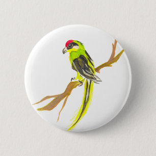 Badge Rond 5 Cm Perroquet sur une branche. Peinture aquarelle.