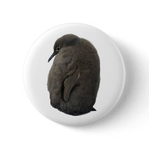 Pesto Penguin
