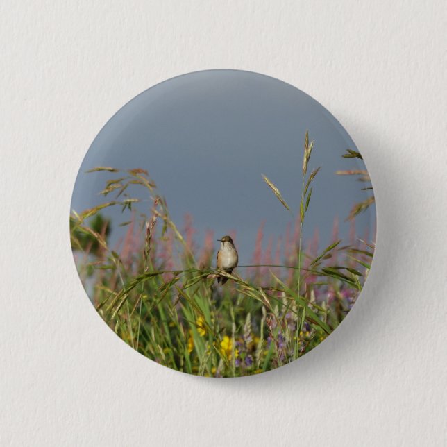 Badge Rond 5 Cm Petit colibri gras (Devant)