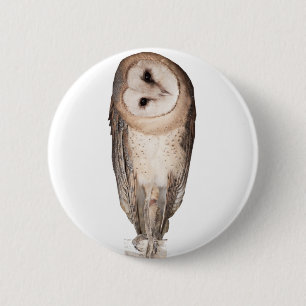 Badge Rond 5 Cm Petit-duc