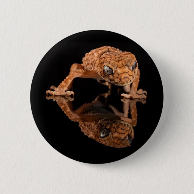 Badge Rond 5 Cm Petit lizard mou Reptile avec réflexion (Devant)
