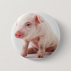 Badge Rond 5 Cm Petit porc