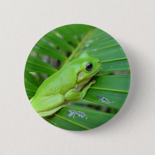 Badge Rond 5 Cm Petite grenouille verte