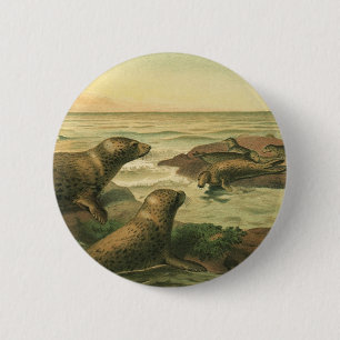 Badge Rond 5 Cm Phoques léopards, Animaux Aquatiques Anciens Vie M